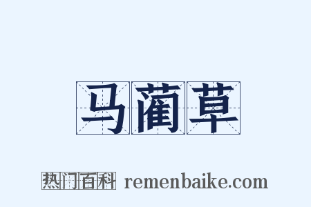 马蔺草是什么意思的图片
